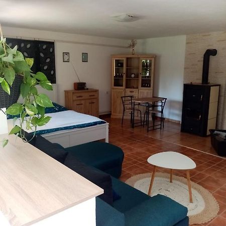 Apartman Ivana Lejlighed Rumburk Eksteriør billede